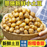 恩施小土豆新鮮馬鈴薯農(nóng)家黃心洋芋現(xiàn)挖蔬菜馬鈴薯 5斤 小果 乒乓球左右大小