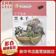 丁丁當當 黑水手 新創(chuàng  )兒童文學(xué)系列 曹文軒著(zhù)