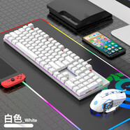 蝰蛇 KM600 機(jī)械鍵盤鼠標(biāo)套裝電競(jìng)青軸臺(tái)式機(jī)網(wǎng)吧電腦辦公筆記本USB有線通用發(fā)光游戲外設(shè)絕地求生 KM600 白色 青軸 【鍵鼠套裝】