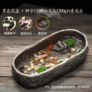 寵小帥 古法養(yǎng)魚缸生態(tài)造景碗蓮陶瓷盆陽臺水培池家用客廳小型裝飾荷花睡花盆小烏龜缸庭院復(fù)古仿石頭魚缸 【陶瓷盆雪花灰】碗蓮10顆+溪流石500g+青龍石