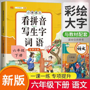 漢知簡小學(xué)六年級下冊看拼音寫詞語練字帖生字注音語文課本同步專項(xiàng)訓(xùn)練 習(xí)字本寫字練習(xí)冊彩繪版
