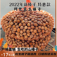 貝棋禾年新榛子 鐵嶺開原榛子 東北特產(chǎn)曬干生榛子網(wǎng)兜散z