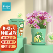 IAM City Farmer波斯菊格?；阅闩柙跃G植幼兒園兒童植物種植種子套裝作業(yè)10025