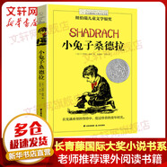 小兔子桑德拉 紐伯瑞兒童文學(xué)獎銀獎 長常青藤國際大獎小說書系