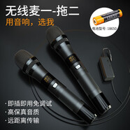 十盞燈 無(wú)線(xiàn)麥克風(fēng)領(lǐng)夾麥克風(fēng)收音麥手機電腦聲卡專(zhuān)用話(huà)筒錄音設備 W13一拖二【電池型號18650】