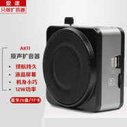 愛(ài)課（AKER） AK11藍牙擴音器教師12W功率音響音箱微型擴音器便攜顯示屏/USB小蜜蜂 (黑色)