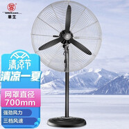 華生電風(fēng)扇大型工業(yè)風(fēng)扇大功率工廠(chǎng)車(chē)間商用燒烤掛壁式牛角扇搖頭 800網(wǎng)罩-750工業(yè)落地扇FL75