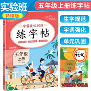 實(shí)驗(yàn)班學(xué)霸提優(yōu)練字帖五年級(jí)上冊(cè) 同步練字帖五年級(jí)上冊(cè)語文人教版寫字課課練生字規(guī)范練詞語強(qiáng)化練 樂學(xué)熊