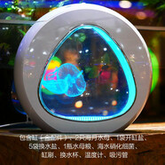 月光水母水母入門(mén)套裝海水寵物迷你魚(yú)缸赤月海月觀(guān)賞桌面網(wǎng)紅水母缸第5代 4L水母缸套裝(2海月)