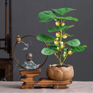 詩甲 小盼菩提綠植盆栽小盆景辦公室內(nèi)客廳陽臺禪意花卉節(jié)日高檔送禮 菩提+抱琴+倒流香一盒（無苔蘚）