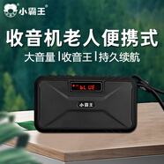 小霸王 藍(lán)牙音箱重低音迷你便攜式插卡U盤(pán)可充電半導(dǎo)體多功帶收音機(jī)戶外廣場(chǎng)舞小音響 旗艦版經(jīng)典黑+【FM收音機(jī)+藍(lán)牙音箱】