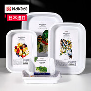 日本nakaya進(jìn)口火鍋備菜盤家用廚房餃子水果蔬菜配菜神器托盤料理盤子蘸料碟餐盤套裝 餐盤10件套