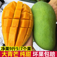 顏小葒越南大青芒果新鮮當季現摘特大整箱青皮水果芒果源頭直發(fā) 8.5-9斤家庭裝（單果450g起）