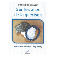 預(yù)訂  Sur les ailes de la guerison : temoignage 乘著治愈的翅膀：見(jiàn)證: 9782376290704