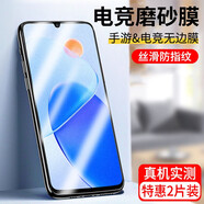 【2片裝】駱尊 適用榮耀Play6T鋼化膜防窺膜榮耀play6tpro抗藍(lán)光全屏覆蓋防爆玻璃手機(jī)貼膜 【榮耀Play6T】電競級手游磨砂膜*2片裝 .