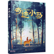 奇跡小馬 小說