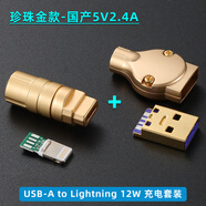 艾威尚（AVSSZ） DIY數(shù)據(jù)線配件雙Typec芯片插頭航插頭快充充電線c94c89定制極客線套裝適用蘋果華為手機 國產(chǎn)USB A-L 12W 珍珠金-5V2.4A 套餐（2芯片+2外殼）
