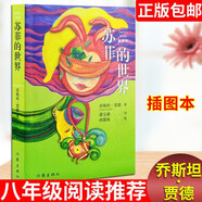 蘇菲的世界（插圖本）：新課標(biāo)課外閱讀 小說