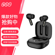 QCY T13 ANC 真無線藍(lán)牙耳機(jī) 主動(dòng)降噪款 運(yùn)動(dòng)耳麥 主從切換4麥通話降噪 耳機(jī)快充 全手機(jī)通用 黑色