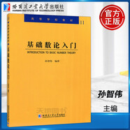 YS 哈工大 基礎(chǔ)數(shù)論入門 孫智偉 高等學(xué)校教材 哈爾濱工業(yè)大學(xué)出版社
