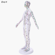 卓越科人體針灸模型經(jīng)絡(luò )穴位中醫全身十二經(jīng)絡(luò )銅人扎針練習小皮人數字定位穴位模特圖