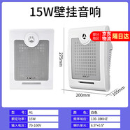 先科（SAST）壁掛音響背景音樂音箱超市餐廳教室掛壁式音響喇叭 A1白色壁掛喇叭