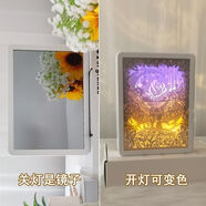 鵝笙記3D立體光影鏡面紙雕燈臥室擺件小裝飾燈創(chuàng)浪漫生日禮物圣誕小夜燈 小王子【關(guān)燈是鏡子】-充電款