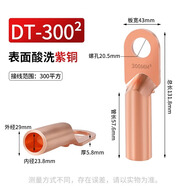 鐘性DT銅鼻子銅接頭DT10/16/25/35/50/70500平方接線端子堵油線耳鼻子 廠標純銅DT-300（1只）