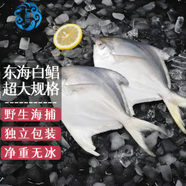 七冰東 東海大白鯧 新鮮海捕銀鯧魚白鯧平魚一斤一條 海鮮水產(chǎn)生鮮 年貨 8兩-1斤每條（2條）
