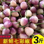 辰實(shí)【現摘現發(fā)】七彩椒現摘 廣西新鮮五彩椒 燈籠椒小辣椒 3斤【新鮮七彩椒 現摘現發(fā)】