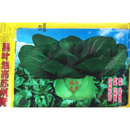 一播大地 上海青/青江白 蘇州青陽(yáng)臺種菜盆栽 雞毛菜四季蔬菜種子高出芽率 黑葉蘇州青種子原裝40g克