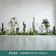 大型仿真綠植仙人掌造景室內(nèi)熱帶植物景觀(guān)裝飾樓梯下造景盆栽擺件 勇往直前【5.5米大型造景】