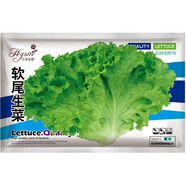 花語(yǔ)笙默四季播種蔬菜種子家庭種菜盆栽田園地栽菜種易種植易生長(cháng)瓜果菜籽 軟尾生菜種子（約2000粒） 原廠(chǎng)封裝1袋