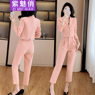 紫魅俏職業(yè)裝女裝套裝小個(gè)子春秋冬長(cháng)袖西裝職場(chǎng)穿搭通勤高級感商務(wù)西服 橙粉色(單件西裝) XL (建議110-120斤)