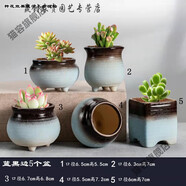 旭杉斯貓容多肉花盆陶瓷多肉植物粗陶復古素燒紫砂家用創(chuàng  )意大小簡(jiǎn) 湖藍色藍黑邊5個(gè)