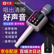 權盟 炫聲麥克風話筒音響一體無線藍牙全民電視K歌唱歌神器手機電腦直播聲卡家庭ktv卡拉ok車載麥克風 R2旗艦版（有U段）