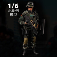 Double Horses和平使命1/6兵人模型 軍人士兵特種兵人偶 仿真關(guān)節(jié)可動(dòng)人偶玩具 WJ特戰(zhàn)隊(duì)