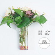 卡蔓派能掛墻上的花盆創(chuàng)意水培玻璃花瓶懸掛式透明插綠蘿壁掛小魚缸簡約 方缸花瓶+無痕釘