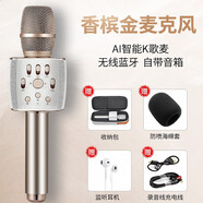 屁顛蟲（Hifier） F2PRO話筒音響一體麥克風(fēng)無線內(nèi)置聲卡套裝直播設(shè)備全套手機(jī)唱歌全民K歌電視手機(jī)通用K歌寶新款 F3香檳金