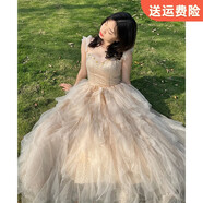 歐瑟芙公主裙成人小個(gè)子晚禮服女高端輕奢小眾香檳色生日禮藝考宴會(huì)氣質(zhì) 香檳色 XS