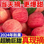 【農(nóng)民自己賣】正宗紅富士蘋果當(dāng)季新鮮冰糖心蘋果水果一整箱批發(fā) 顆顆爆甜-凈重8斤裝小果50-60mm