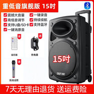 先科（SAST）廣場(chǎng)舞音響專(zhuān)業(yè)戶(hù)外k歌音箱帶話(huà)筒家用拉桿藍牙手拉麥克風(fēng) 15吋+單話(huà)筒