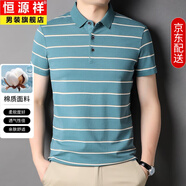 恒源祥短袖T恤男條紋翻領(lǐng)高端休閑絲光棉夏季中年半袖polo.衫上衣服男裝 MMSJ48-8903綠色 XL 175