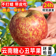 云南高山冰糖心丑蘋果新鮮水果整箱禮盒脆甜多汁正宗丑蘋果 5斤 精選大果（75-80）