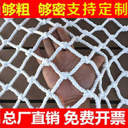 卓盛花卉建筑安全網(wǎng)防墜網(wǎng)樓梯陽(yáng)臺防護網(wǎng)尼龍網(wǎng)貨車(chē)繩網(wǎng)子圍網(wǎng)隔離防貓網(wǎng) 5厘米網(wǎng)口3米寬6米長(cháng)