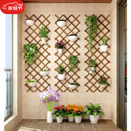 丘林瑟墻上掛式花架陽(yáng)臺(tái)裝飾置物架壁掛墻面花盆掛架網(wǎng)格懸掛墻壁花墻架 H46加厚