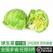 綠食者 新鮮球生菜500g 漢堡用西生菜西餐三明治沙拉蔬菜健康輕食食材