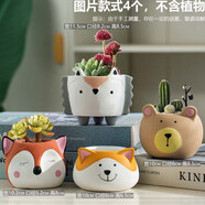 仟尚億多肉花盆陶瓷個(gè)性簡(jiǎn)約室內(nèi)植物創(chuàng)意粗陶花盆栽花盆透氣大口徑組合 MH森林動(dòng)物4個(gè) 中等