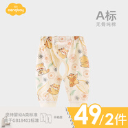 Aengbay昂貝 嬰兒純棉新生兒褲魔術(shù)貼嬰幼褲打底初生開(kāi)檔褲春秋四季褲 浣熊（四季） 66 cm