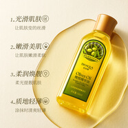 泊泉雅橄欖油潤膚油護(hù)膚油 150ML面部護(hù)膚全身補(bǔ)水保濕防干裂身體油 1瓶 150ml